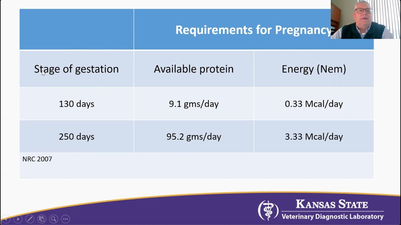 Nutritional Diagnostics for Cow/Calf Herds