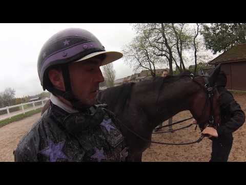 Zapping a2turf novembre 2013 - A2TURF.COM