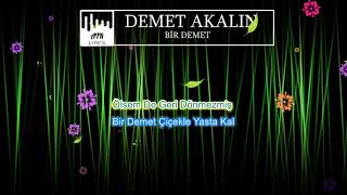Demet Akalın - Bir Demet (SÖZLERİ &amp; LYRICS)