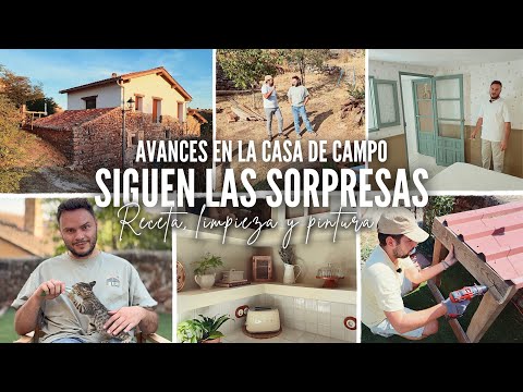 VLOG en la CASA DE CAMPO 🏡 PEDIMOS PRESUPUESTO 😱 ARREGLANDO el JARDÍN 😍 PINTURA, DECORACIÓN Y RECETA