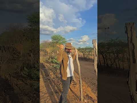 🌿 **SÍTIO MALHADA DA PEDRA – 15 HECTARES EM MONTEIRO-PB** 🌿