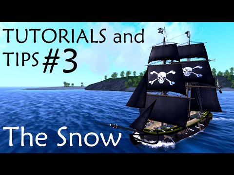 TUTORIALS and TIPS Ep3 - The Snow | The Pirate Caribbean Hunt