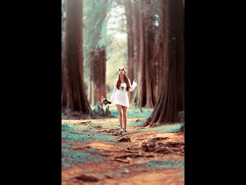 O SEGREDO DA CURA INTERIOR EM 9 MINUTOS CURANDO AS RAIZES DO PASSADO