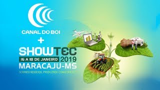 Miniatura do vídeo