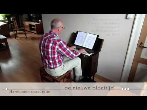 Mannborg kofferharmonium