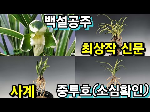유튜브 썸네일