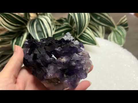 Dark Purple Fluorite Specimen – Melchor Muzquiz, Coahuila, Mexico