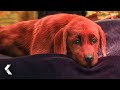 CLIFFORD THE BIG RED DOG Movie Clip Emily Meets Baby Clifford 2021