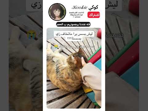 بسة عايشة دور المواطنة الصالحة ✨