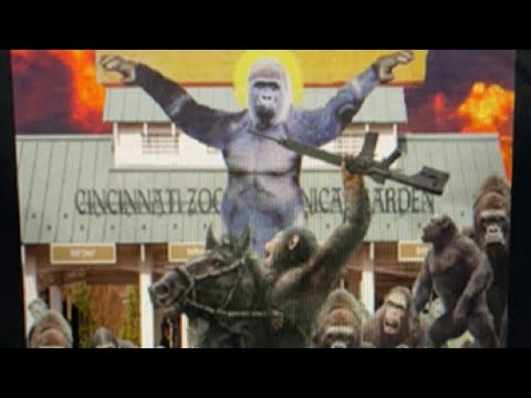 Harambe's Heroes Rumble in the Urban Jungle Livestream!