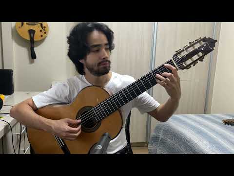 7 String Guitar (Nylon strings), Lucas Bráz, luthier
