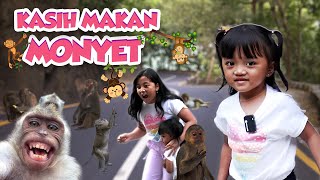 Download lagu DANISA DAN DINAR DIKEJAR MONYET, LANGSUNG KABUR🤣 #viral #trending mp3