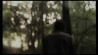 Verdena-Spaceman