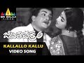Jeevitha Chakram Video Songs Kallallo Kallupetti Video Song NTR Vanisri Sri Balaji Video