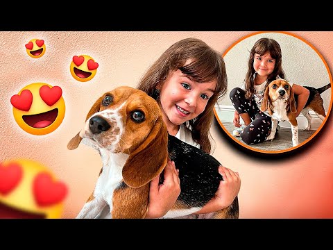 NOVO MEMBRO DA FAMÍLIA BRANCOALA ❤️