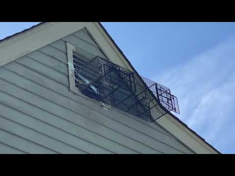 Raccoon Breaks Apart Gable Vent to Invade Home in Manasquan, NJ