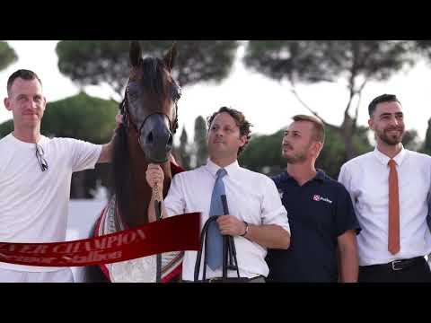 RHAN AL SHAHANIA - From the American Dream to Conquering the Roman Arenas