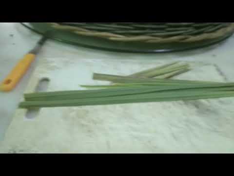 Lemongrass oil extraction by Adnin
