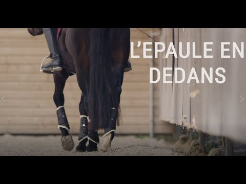 TUTO EQUITATION#3 🐴 - L'épaule en dedans
