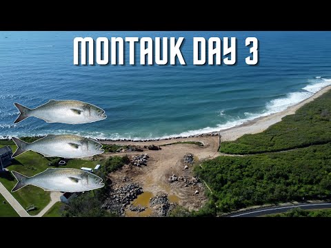 Fishing Long Island Day 3 | North Shore Montauk (Bluefish)