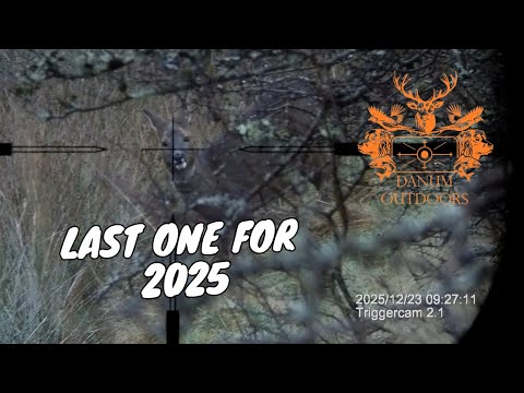 Deer Stalking: Looking for Roe Doe's at the end of 2025