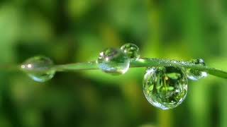 Download lagu semusim Chrisye ft Waljinah mp3