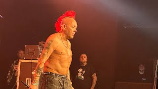 The Exploited ~ Dogs Of War