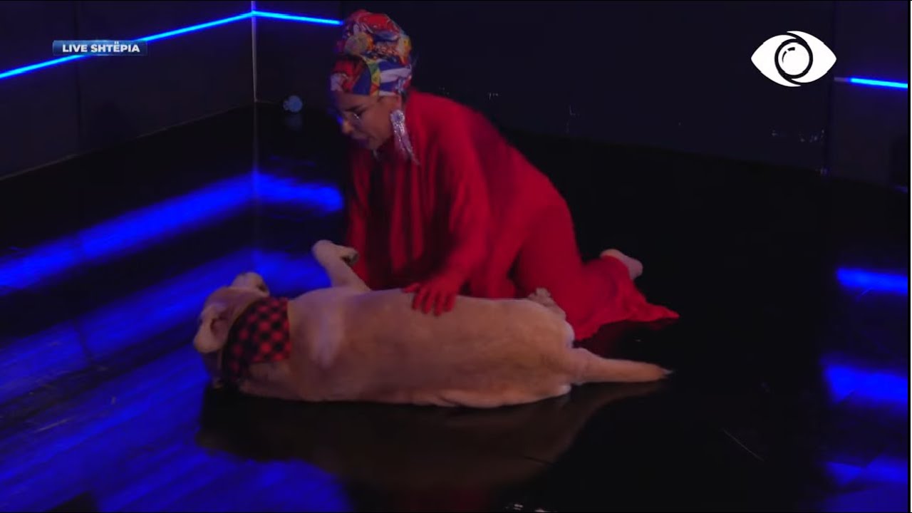 Një tjetër surprizë për Valbonën, këtë herë nga një katërputrosh