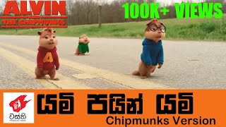 Yami Pain Yami Chipmunks Music Video  - Wasthi Pro