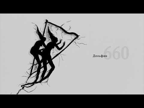 Dolphin 660