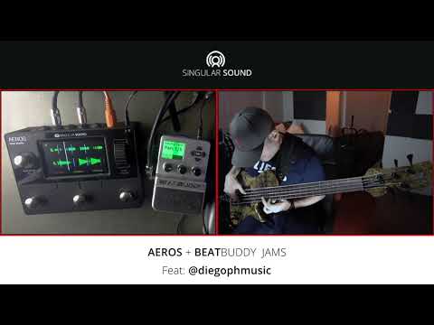 Singular Sound Artist Jams Feat: Diego Paredes Live Bass Loop Performance 🐟🎸🔥