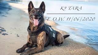 K9 Tara’s Last Call