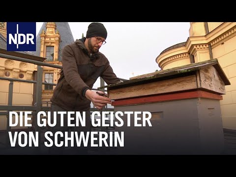 Schwerin: Tausend Jobs im Märchenschloss | die nordstory | NDR Doku