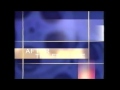 Disney Filmreel Bumpers Join Us After The Feature 1999 2006 Homemade