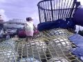 Climbing The Twiddlebug Slide