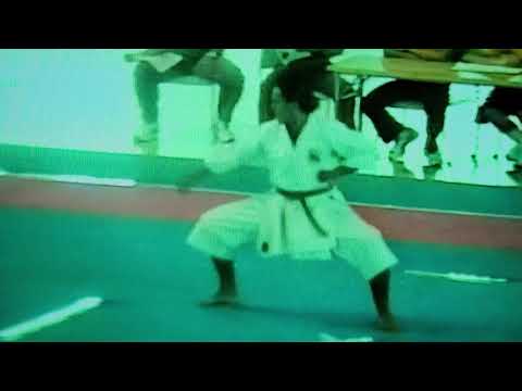 1995年『沖縄空手古武道世界大会・プレ大会』劉衛流(山口正舟撮影)