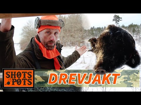 DREVJAKT I UPPLAND - När man minst anar det