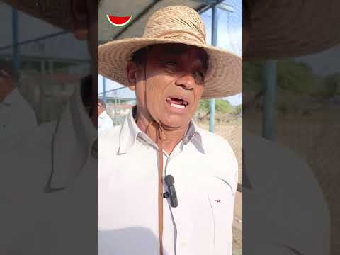 Pescadores de Punta Cardón al borde de la desesperación: por derrames de crudo en el Golfete de Coro