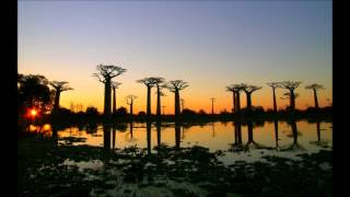 Sonik City and Neuromancer - Savannah (Fruits of Baobab remix)