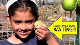 FINALLY BACK HOME - LOOK WHO WAS WAITING!!!