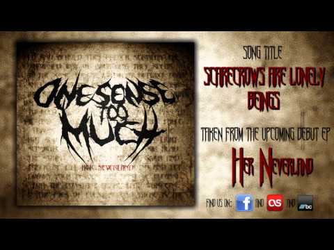 One Sense Too Much - Scarecrows Are Lonely Beings 2012 EP-TEASER
