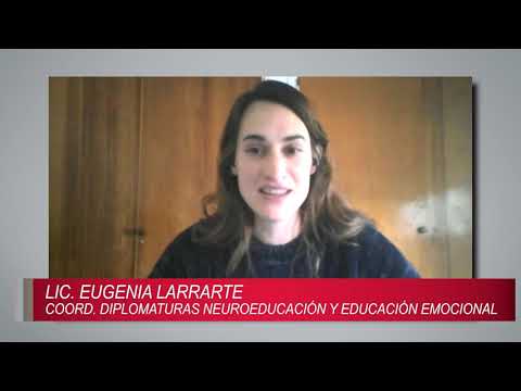 Diplomaturas online: Neuroeducación y Educación Emocional