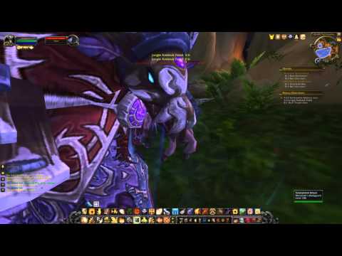 Bonus Objective: Tailthrasher Basin (WoW, human, Paladin)