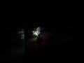 4TH OF JULY ACCIDENTAL BUSHFIRE (MUST WATCH) (REAL) - ☠️SkeletonVR💀 4TH OF JULY ACCIDENTAL BUSHFIRE (MUST WATCH) (REAL)