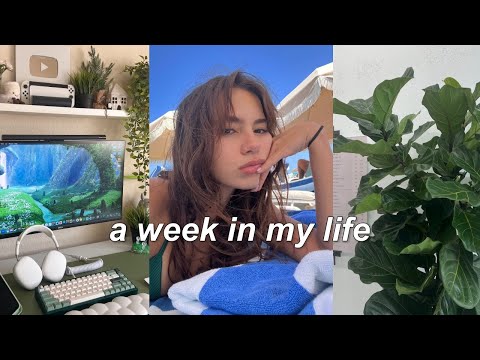 weekly vlog ᡣ • . • 𐭩 ♡ | big book haul, dinner with friends, simple days