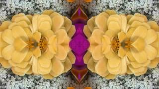 Come Back Baby Baby (by Bert Jansch &amp; John Renbourn live in Massachusetts 1990)