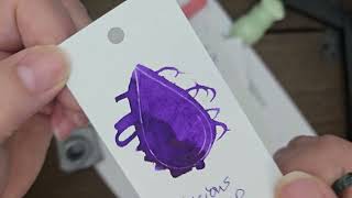 Delicious Sleep Ink Review Colorverse Fountain Pen Ink