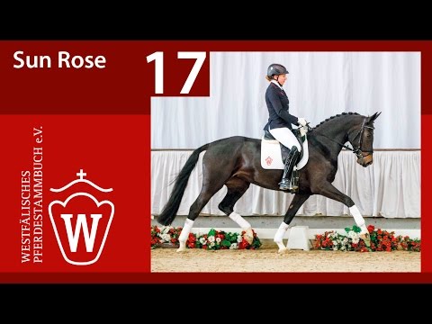 17 Sun Rose Stute v. San Amour - Mon Cheri