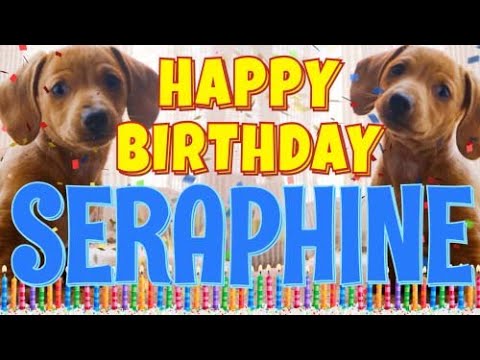 Happy Birthday Seraphine! ( Funny Talking Dogs ) What Is Free On My Birthday