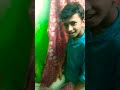 Mawali Song